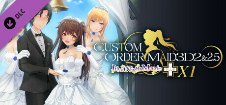 CUSTOM ORDER MAID 3D2&2.5+X1 game deal