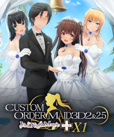 CUSTOM ORDER MAID 3D2&amp;2.5+X1