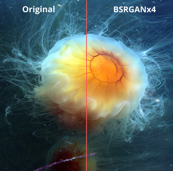 QualityScaler game for Linux 1