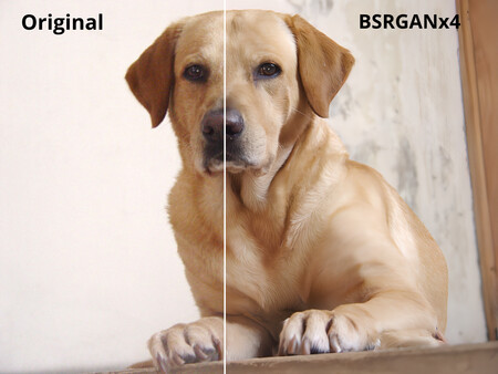 QualityScaler game for windows Pc 1