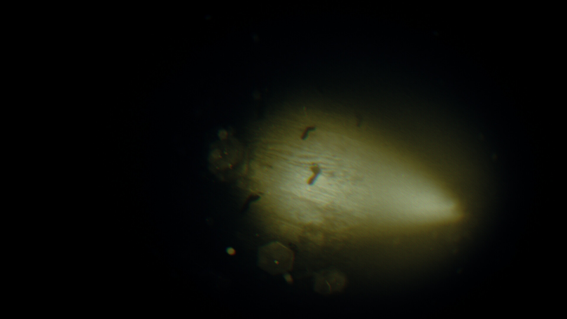 REC: Beyond The Lens #10