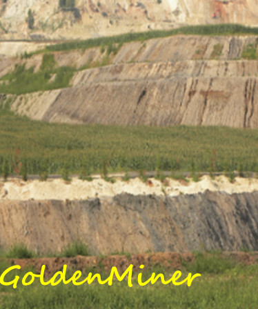 GoldenMiner