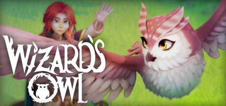 Image for Wizards Owl: Magic Delivery