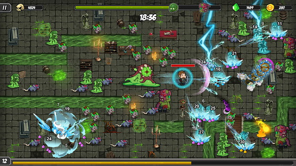 The Bravesfor windows and Linux 1