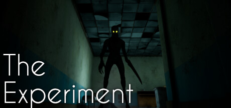 The Experiment banner image