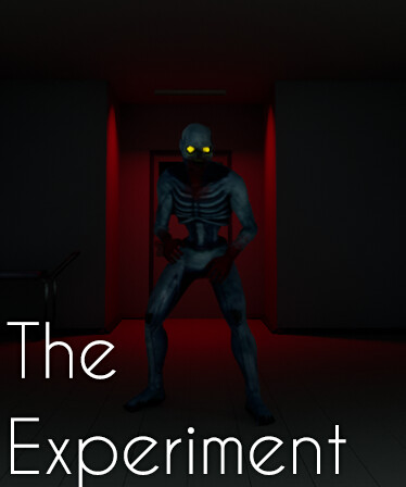 The Experiment