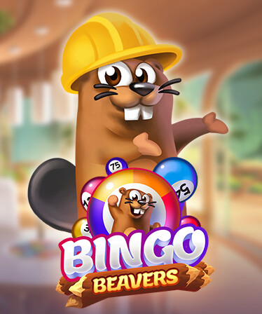 Bingo Beavers - Kitchen