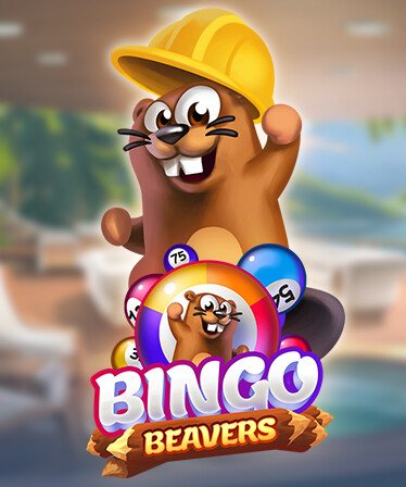 Bingo Beavers - Terrace