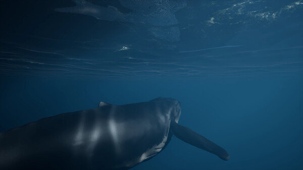 Whale Fall screenshot 5
