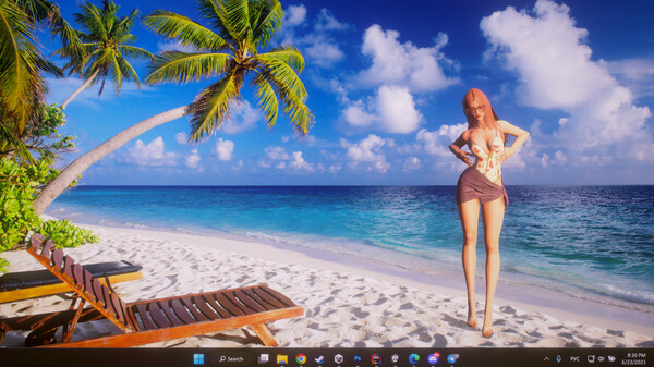 Desktop Beach Girlsfor windows and Linux 1