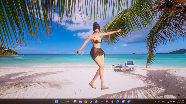 Скриншот из Desktop Beach Girls