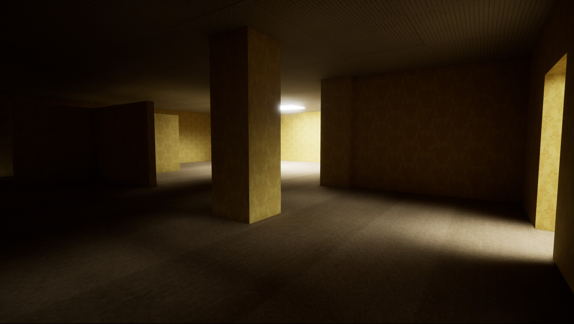 Explore the backrooms screenshot 1