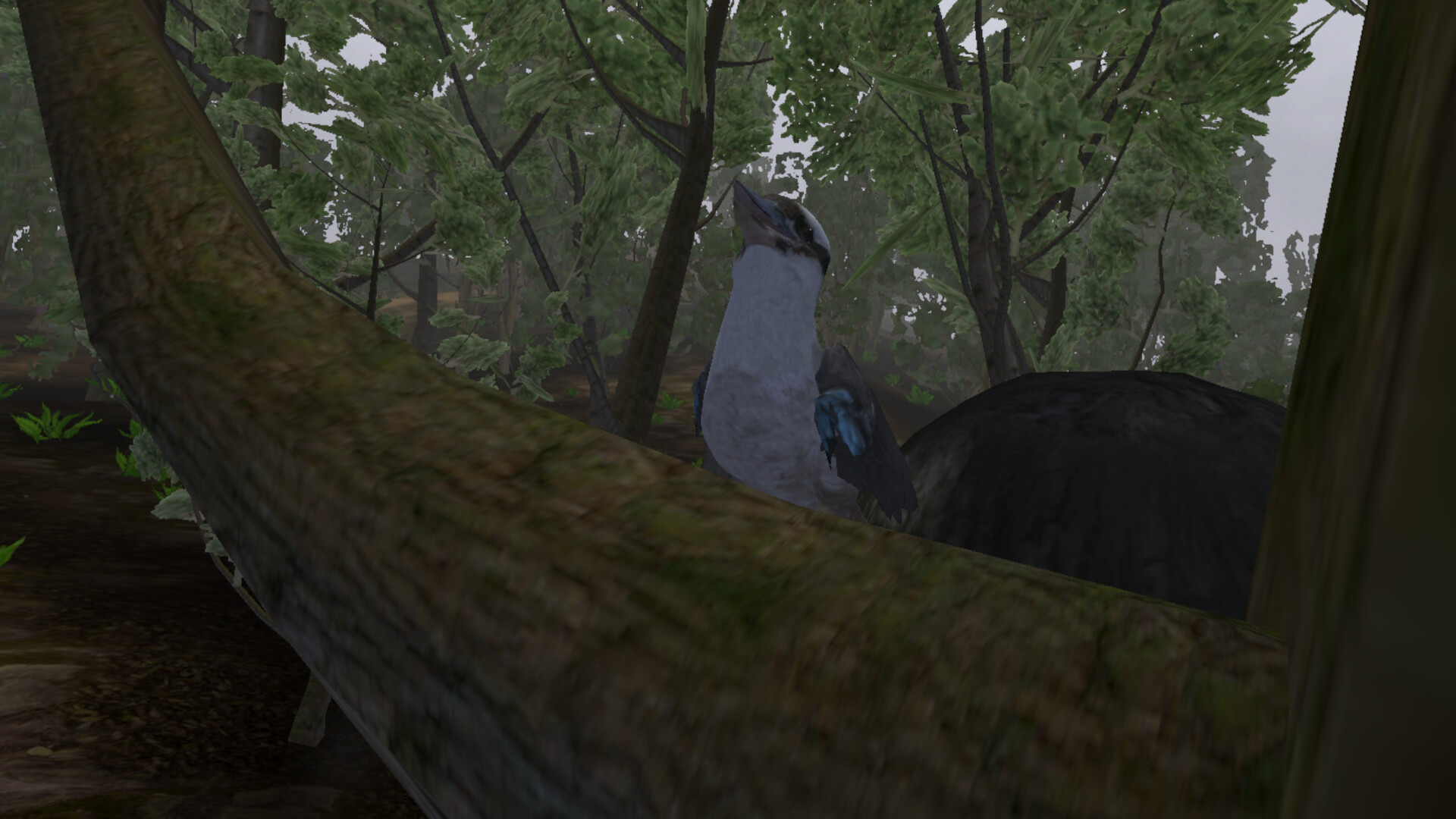 Lepidoptera screenshot 6
