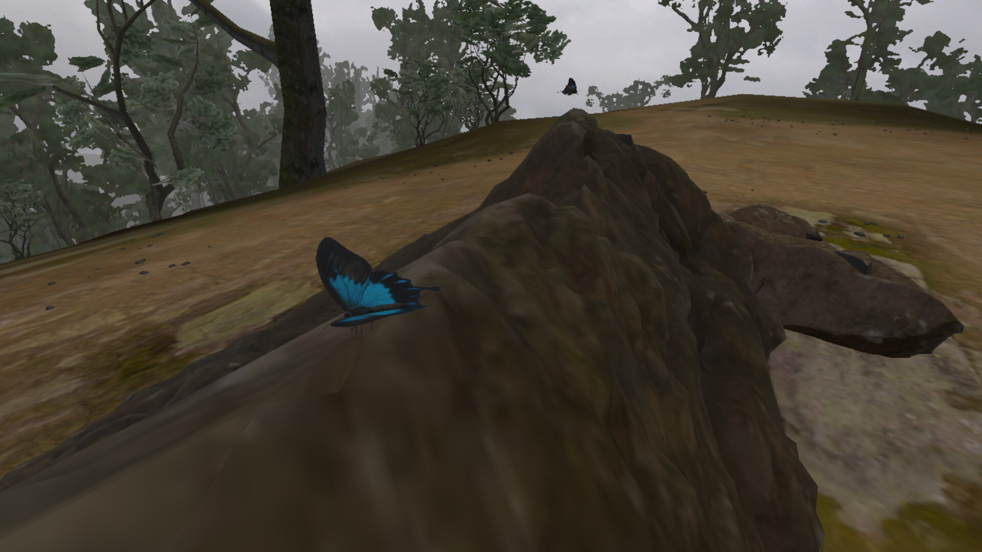 Lepidoptera screenshot 5