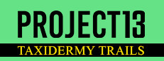 Project 13: Taxidermy Trails
