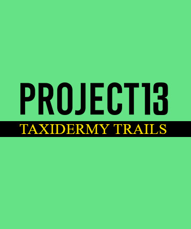 Project 13: Taxidermy Trails