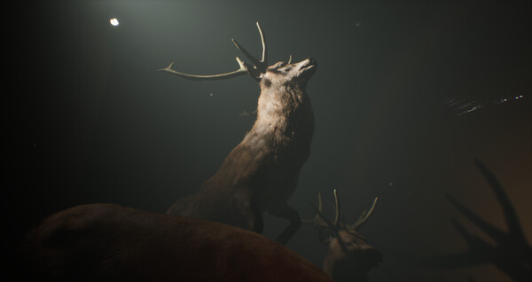 Скриншот из Project 13: Taxidermy Trails Скриншот из Project 13: Taxidermy Trails
