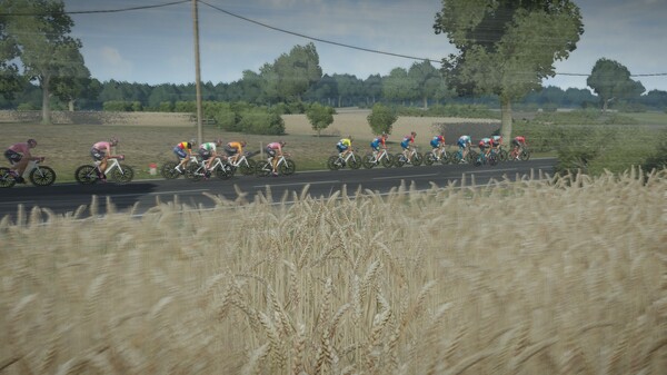 Скриншот из Tour de France 2024