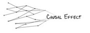 Causal Effect