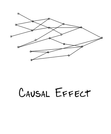 Causal Effect