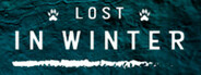 Lost In Winter