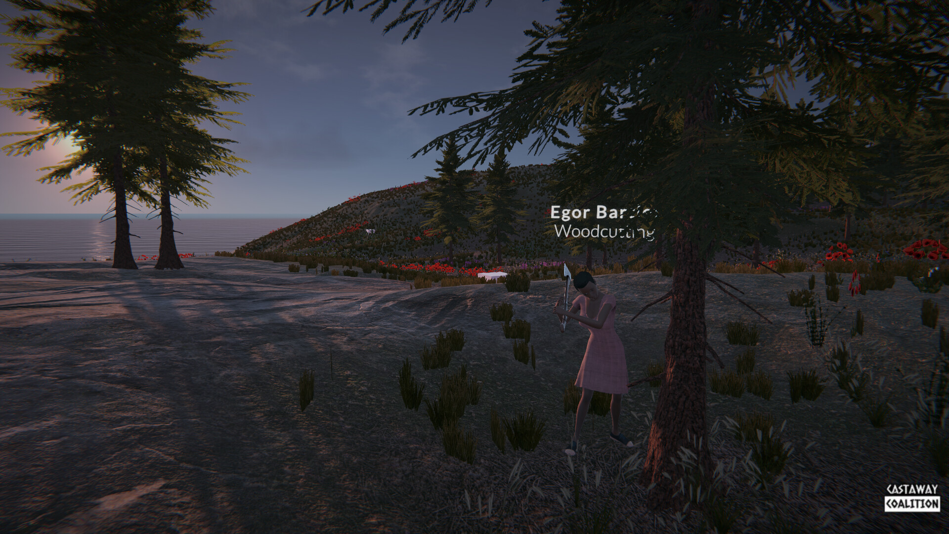 Castaway Coalition on Steam