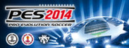 Pro Evolution Soccer 2014