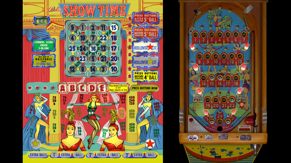 Bingo Pinball Gameroom - Bally Show Time