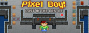 Pixel Boy - Lost in the Castle