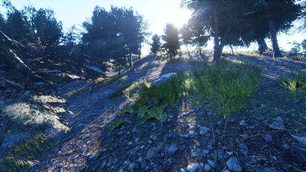 Скриншот из Your Journey of Survival