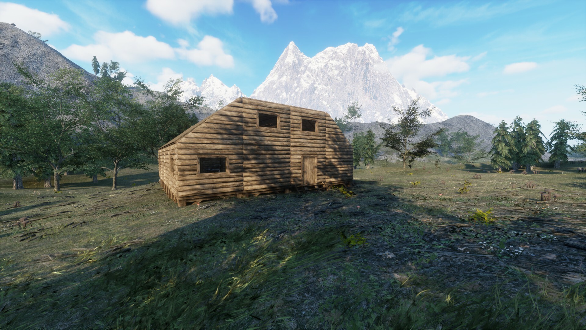 Your Journey of Survival #8