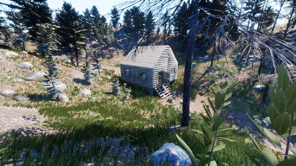 Скриншот из Your Journey of Survival