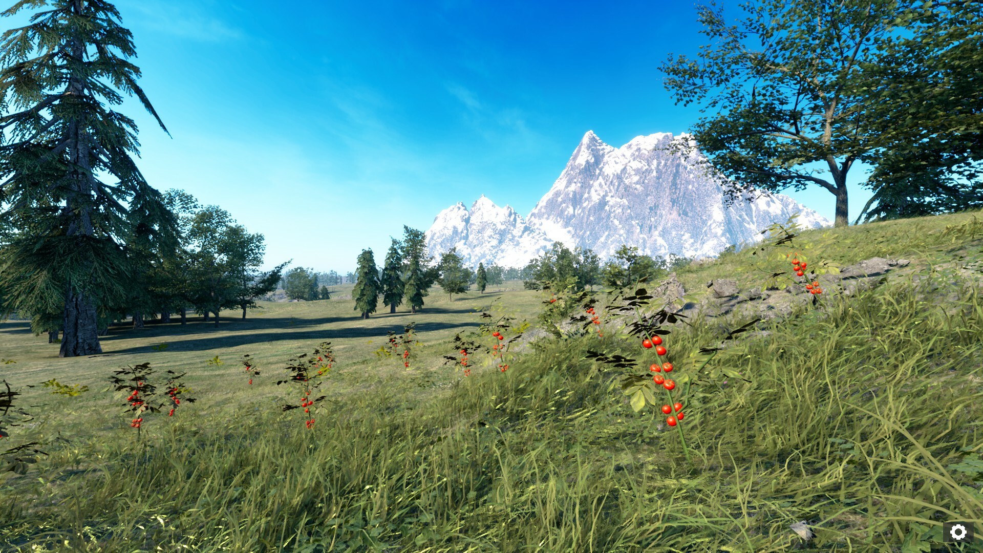 Your Journey of Survival #6