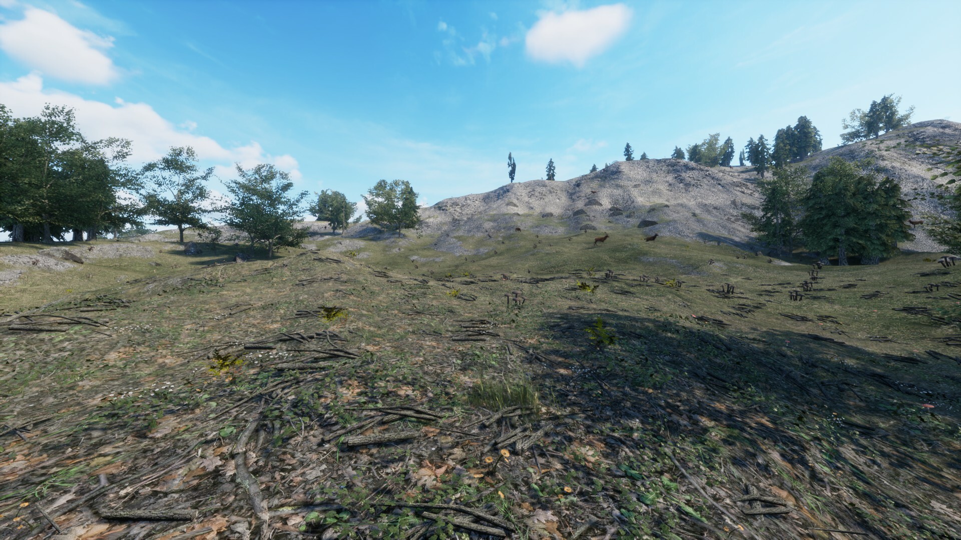 Your Journey of Survival #3