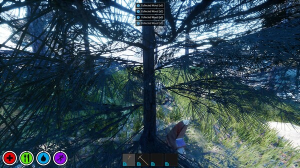 Скриншот из Your Journey of Survival