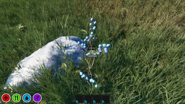 Скриншот из Your Journey of Survival