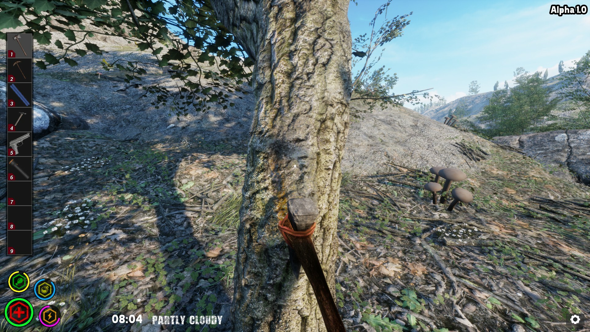 Your Journey of Survival #13