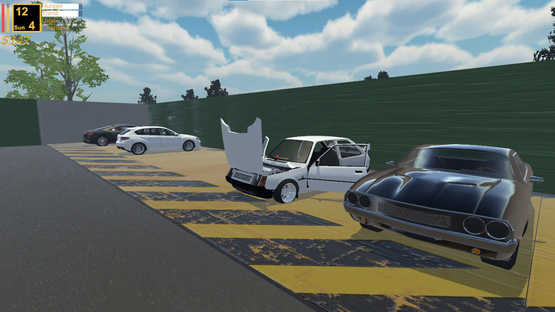 Adopted Passion Realize Your Dream #13