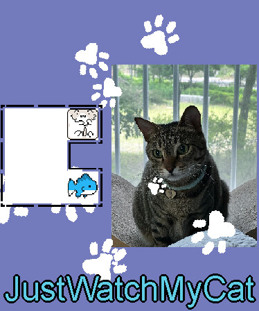 JustWatchMyCat - Support