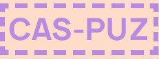 CaS-Puz: Camera Surface Puzzle