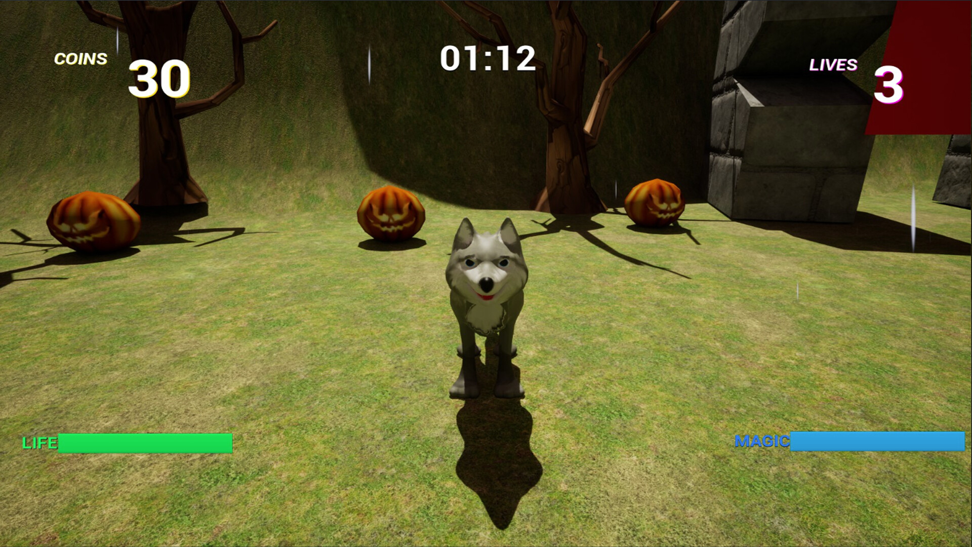 wolf treasure