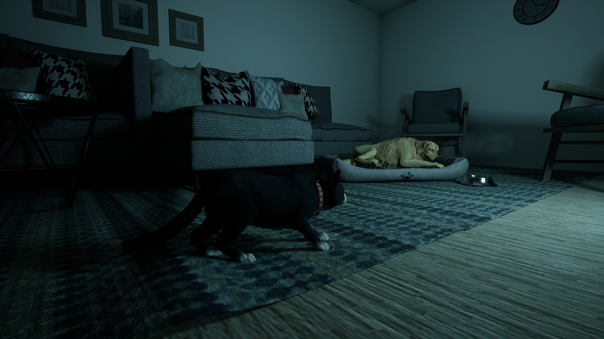 Project Paws screenshot