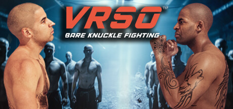 VRSO: Bare Knuckle Fighting Cover Image