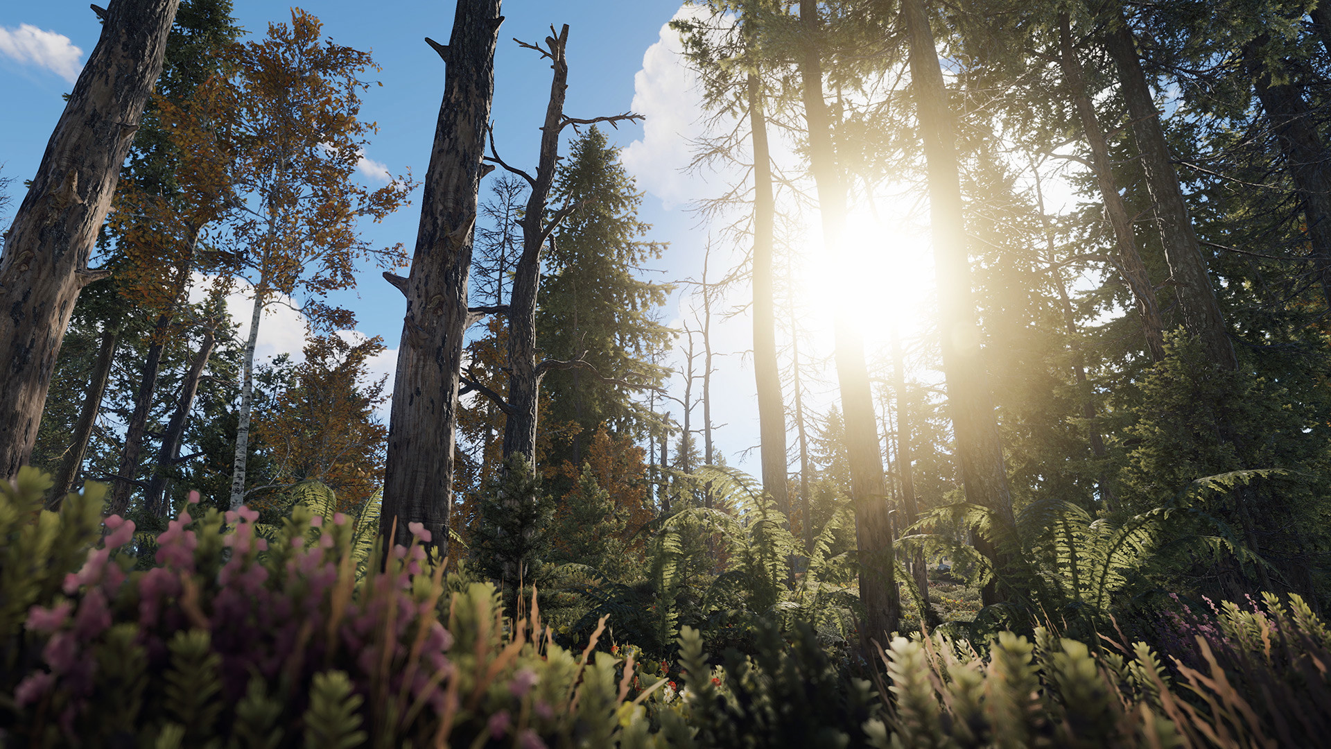 Rust screenshot 11