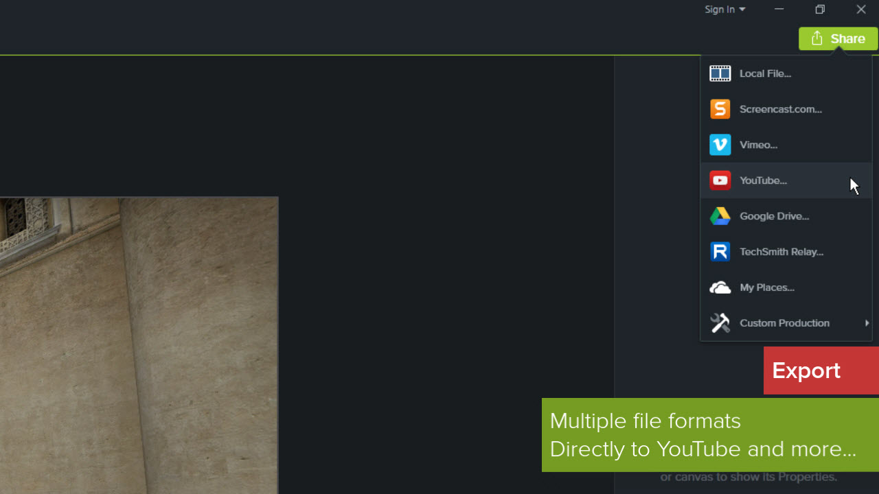 Camtasia - Subscription #5