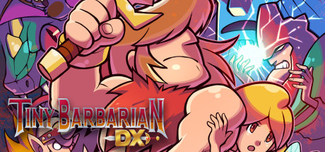 Tiny Barbarian DX header image