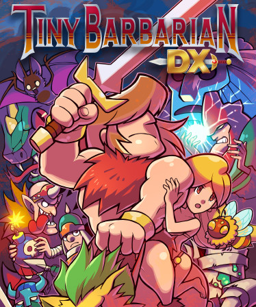 Tiny Barbarian DX