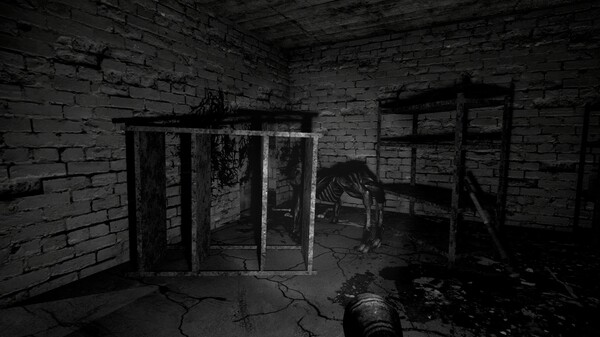 Скриншот из The Pony Factory