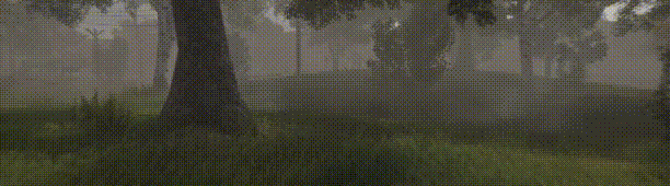 gif_tr.gif?t=1707199954
