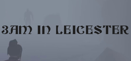 3am in Leicester Cover Image